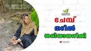 ചേമ്പ് നടീൽ ശരിയായരീതി | Chembu Krishi tips in Malayalam | Colocasia farming tips | ചേമ്പ് കൃഷി |
