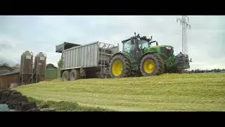 Mais AUF Gras-Silo | 4K