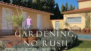 Winter Garden Jobs in a Cottage Garden | Pruning, Planting & Sowing