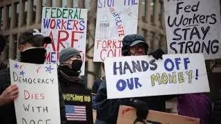 LIVE | Employees fired by DOGE hold protest