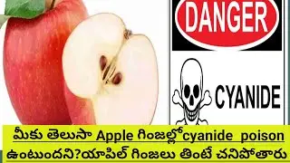 ఆపిల్ విత్తనాలలో సైనైడ్ విషం ఉంటుంది. ఆపిల్ గింజలు తింటే మనిషీ చనిపోతాడు.Apple seeds contain poison