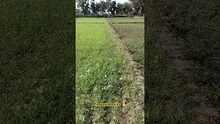 farming training short viral video ❣️❣️#farming #farmlife #nature #explorepage #shortvideos