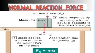 Normal reaction force||Law of motion