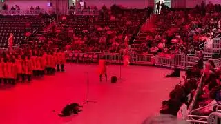 Delta Sigma Theta Baltimore Alumnae Chapter Spring 2019 Presentation CODE RED 99