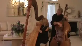 Jazz Harp and bass DUO