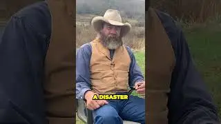 The LifeChanging Revelation of How Disasters Can Actually Be Blessings