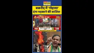 बकरीद में 'गोहत्या' दंगा भड़काने की साजिश  ! #shorts #assam #communalviolence #hindinews