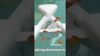 🏊 Этот плавучий очиститель для бассейна творит чудеса!