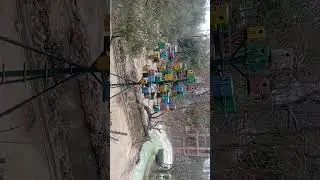 Visit to a lakeview park 🏞️ ( parrot 🦜 house