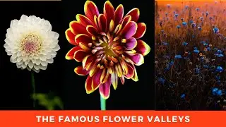 The Famous Flower Valleys Around the World | Top 10 Places | 2021 New Update | in English |