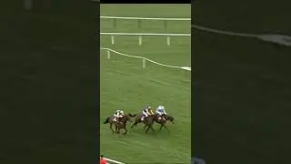 Most dramatic Cheltenham Festival race ever?#horse #horseracing #racingtv #sport #britishhorseracing