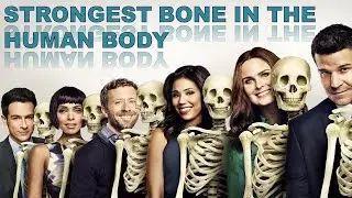 Strongest Bone in the Human Body | Interesting Facts Included