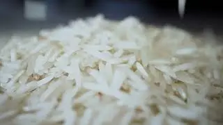 Causes Of Global Food Crisis | FinFreeU