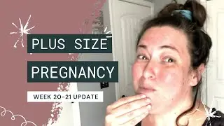 Positive Plus Size Pregnancy Update   Week 20 and 21 Update Bumpdate