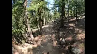 Evergreen Mtn-West trail  #mtb  #mtbtrail  #mountainbike  #rockymountainbikes