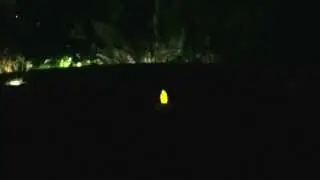 darkness experiment