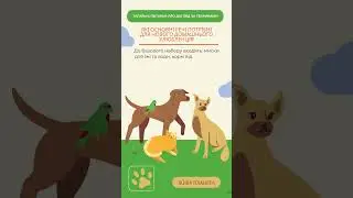 #PetQuestions #PetCareTips #AskAVet #PetAdvice #DogCare #CatCare #PetParenting #HealthyPets