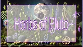 Herbs of Pluto: Unveil the Mystical Plants of Transformation 🌑🪐 | Ditch Witch Diaries