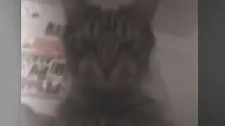 Hostile (Sped Up)
