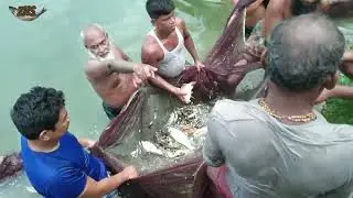 বড় বড় মাছ #fishing 