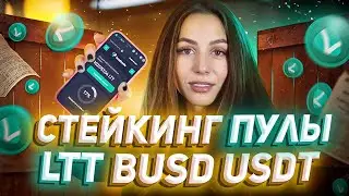 👀 Новый стейкинг-пул LTT на LocalTrade CEX &mdash; APR 48% | Обновления пулов USDT, BUSD
