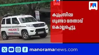 ബ്ലേഡ് കൊണ്ട് ആക്രമിക്കുന്ന കുപ്രസിദ്ധ ഗുണ്ട ഒടുവിൽ സലീം അലി കൊല്ലപ്പെട്ടു | Malappuram