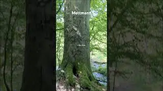 Life is like this, enjoy! #nature #hiking #enjoy #relax