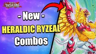 BEST WAY TO PLAY RYZEAL!? | NEW HERALDIC BEAST RYZEAL COMBOS! | POST ALLIANCE INSIGHT! |  Yu-Gi-Oh!
