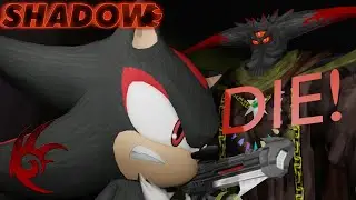 Shadow the hedgehog  I Am Evil or Good