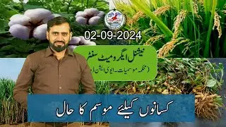 Farmers Weather Forecast | 02-09-2024
