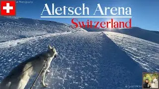 Лучшие зимние походы в Швейцарии - Aletsch Arena 4K