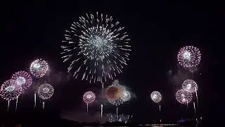 Disney's Magic Kingdom New Year's 2019 Fireworks [4K]