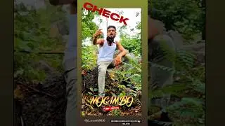 MOCAMBO IS OUT NOW GUYS 🤙🏻🎵 #cgrapper #rap #cgrap #manpur