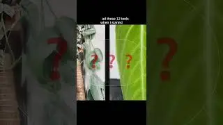 Растительные продукты, которые я хотел бы знать, будучи новичком | Необходимые инструменты и пред...