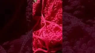 #crochemoderno #crochet #artesanatodeluxo #empreendernoartesanato