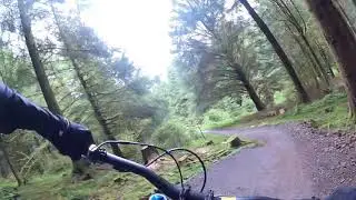 Terrys belly - bike park wales 