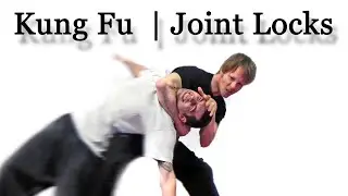 Learn Choy Li Fut Kung Fu | Joint locks
