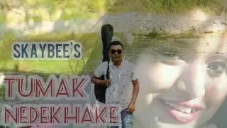 TUMAK NEDEKHAKE || New Assamese Video Song || SKayBee || Natashaa Naxatraa || Diganta Das