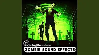 Close up Medium Zombie Sound Effect