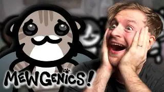 Zum ERSTEN MAL Schrottplatz | Mewgenics