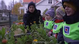 Utepedagogik Tjärnö