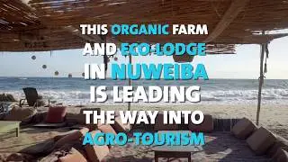 This Organic Farm and Eco-lodge in Nuweiba is Leading the Way in Egyptian Agro-Tourism