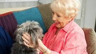 Seniors benefit from animal therapy