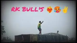 RK BULLS Simha ✊