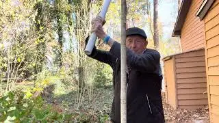 Count Yogi &ldquo;VERTICAL GOLF SWING&rdquo; 