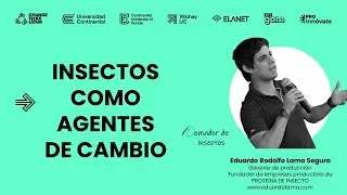 Change Talks Latam &ndash; Ento Piruw - Los insectos como agentes de cambio