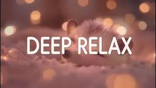 Live Relaxing Piano 🎹 | Peaceful Footage of Small Animals