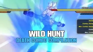 DLC 2 Wild Hunt Combos FOCUS FLASH AND MORE