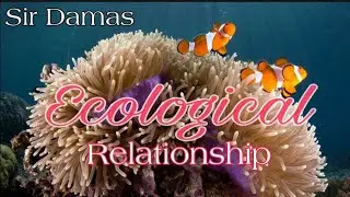 Ecological Relationship in an Ecosystem
