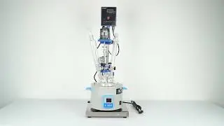 Budget-Friendly 2L Single Layer Glass Reactor w/ Heating Mantle | Nanbei Instruments Lab Tools